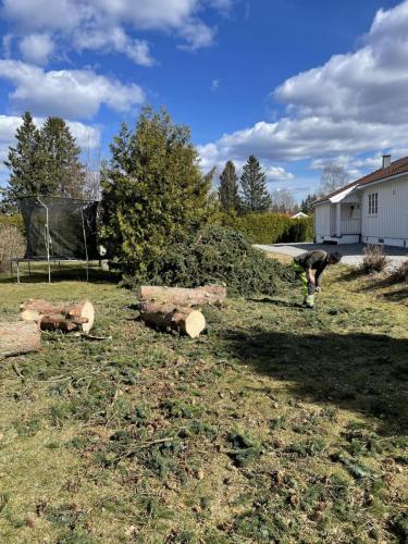 Fra Aurskog april 2024