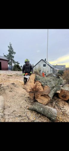 Fjellhamar høsten 2025